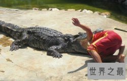 【图】数一数那些可怕的鳄鱼吃人的事件 你知道哪些
