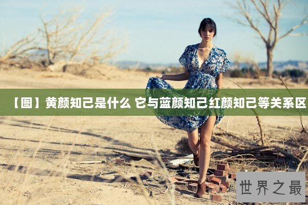 【图】黄颜知己是什么 它与蓝颜知己红颜知己等关系区