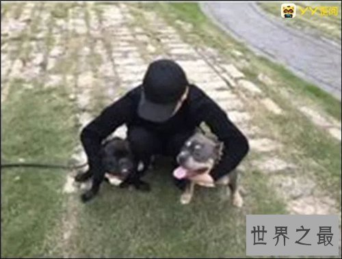 【图】yy宝哥切实身份是谁 网友质疑宝哥就是YY的人