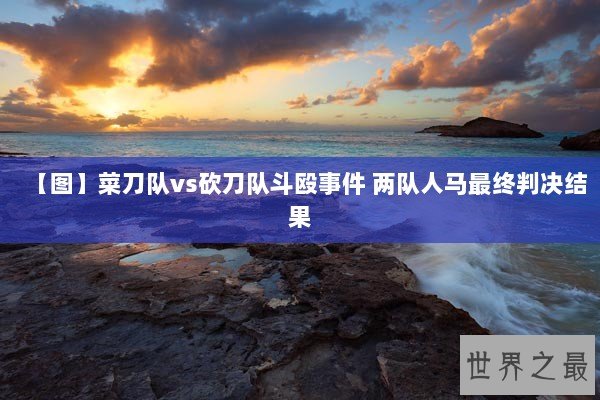 【图】菜刀队vs砍刀队斗殴事件 两队人马最终判决结果