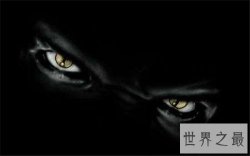 【图】第13双眼睛歌曲听完会自杀 世界上仅存的是它的