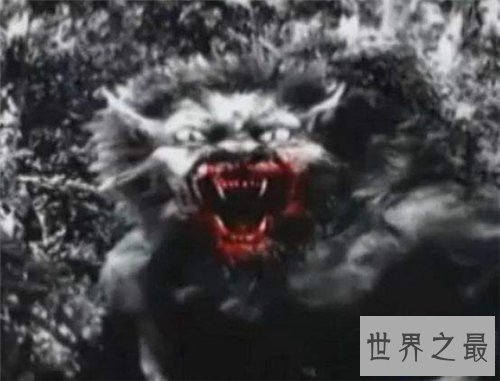 【图】布雷路怪兽的目击事件介绍 曾有两次被录像拍到