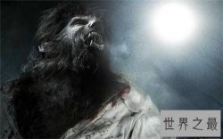 【图】布雷路怪兽的目击事件介绍 曾有两次被录像拍到