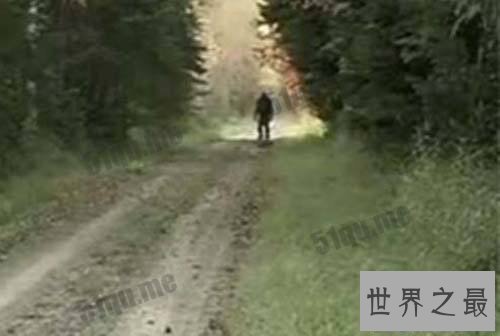 【图】布雷路怪兽的目击事件介绍 曾有两次被录像拍到