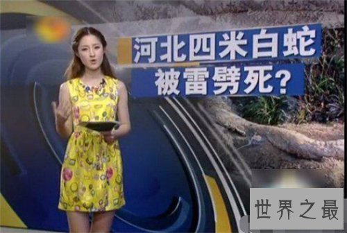 【图】桂平挖蛇事情回忆 4米长白蛇被雷劈死