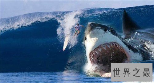 【图】巨齿鲨生死谜引见 曾有沉船事情惊现海底怪兽