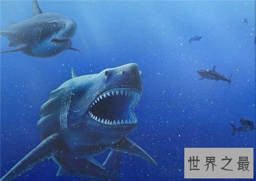 【图】巨齿鲨生死谜引见 曾有沉船事情惊现海底怪兽