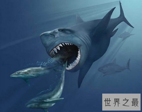 【图】巨齿鲨生死谜引见 曾有沉船事情惊现海底怪兽