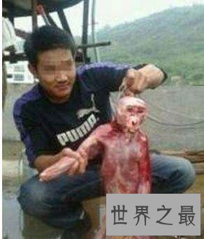 【图】水猴子水鬼图片引见 用哭声引人吸食人血