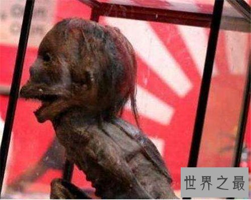 【图】水猴子水鬼图片引见 用哭声引人吸食人血