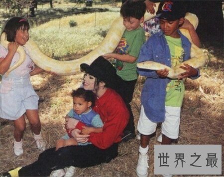 【图】世界上最傻的人真的存在吗 她是有多傻呢