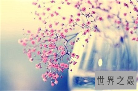 【图】恋情诗句清点大全 再也不用担心不会说情话了