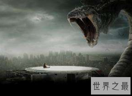 【图】蛇的电影大全寰球八大经典部部是佳作值得你看