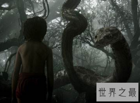 【图】蛇的电影大全寰球八大经典部部是佳作值得你看