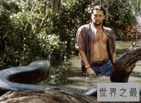 【图】蛇的电影大全寰球八大经典部部是佳作值得你看