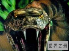 【图】蛇的电影大全全球八大经典部部是佳作值得你看