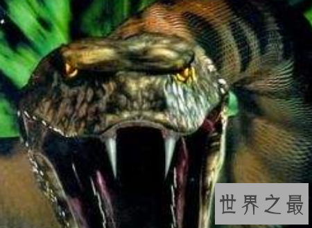 【图】蛇的电影大全寰球八大经典部部是佳作值得你看