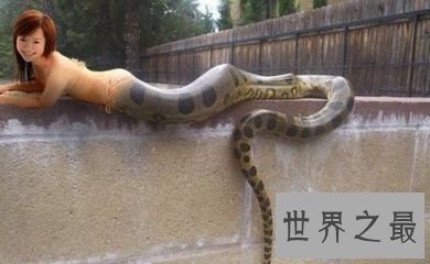 【图】美人蛇是指那些上半身是人 下半身是蛇的生命