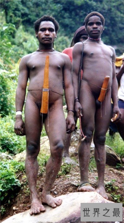 【图】寰球特殊生殖器引见 非洲某部落男性具备大象般