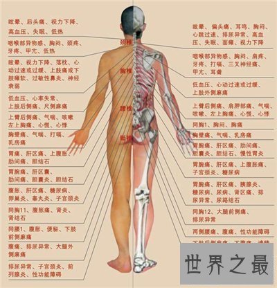 【图】人体结构图解引见 美国发现人体新型DNA