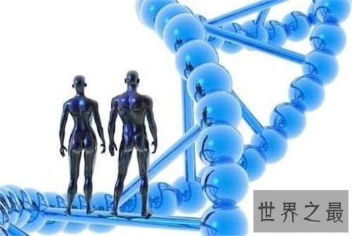【图】人体结构图解引见 美国发现人体新型DNA