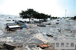 【图】印尼海啸死了多少人 灾难过后海滩惊现无名巨怪