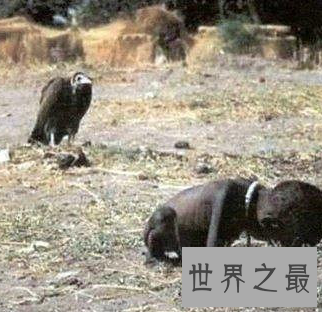 【图】记载惊悚时辰恐惧照片 胆怯者切勿进入