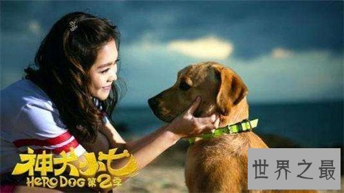 【图】神犬小七2有哪些名狗 在海南取景为整部剧添色调