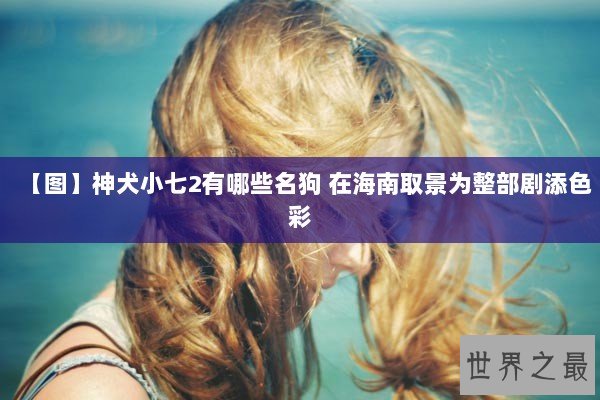 【图】神犬小七2有哪些名狗 在海南取景为整部剧添色彩