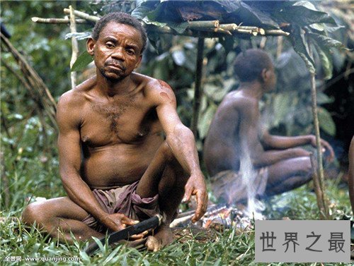 【图】俾格米人的特点生存引见 非洲森林里的袖珍民族