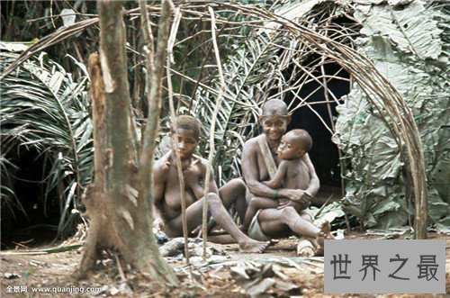 【图】俾格米人的特点生存引见 非洲森林里的袖珍民族