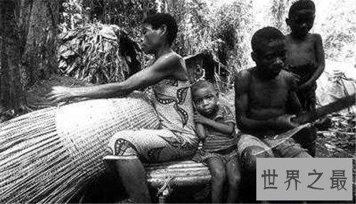 【图】俾格米人的特点生存引见 非洲森林里的袖珍民族