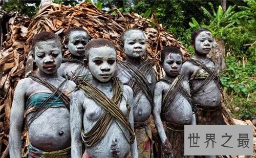 【图】俾格米人的特点生存引见 非洲森林里的袖珍民族