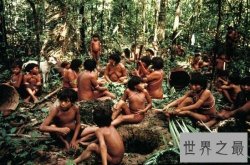 【图】俾格米人的特点生活介绍 非洲森林里的袖珍民族