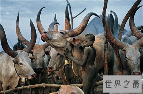 【图】世界上最黑的人是谁 丁卡人部落可谓黑到没有眼