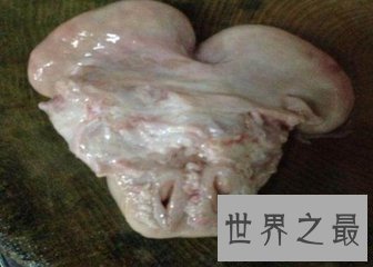 【图】牛欢欣是广东很火的一道菜 知道概况后网友们表