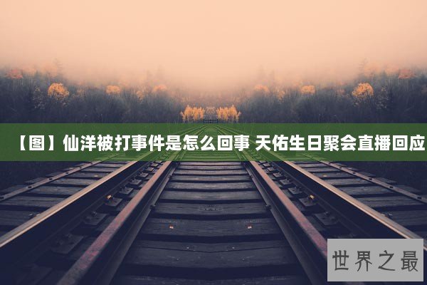 【图】仙洋被打事件是怎么回事 天佑生日聚会直播回应