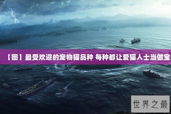 【图】最受欢迎的宠物猫品种 每种都让爱猫人士当做宝