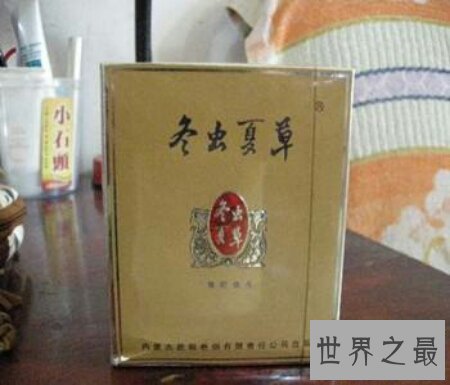 【图】都知道冬虫夏草是珍贵的药材但你知道冬虫夏草