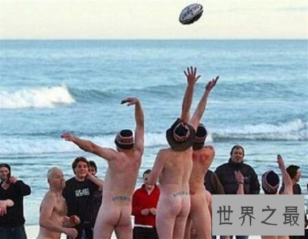 【图】天体营是德国的一个组织 很难以开口哦