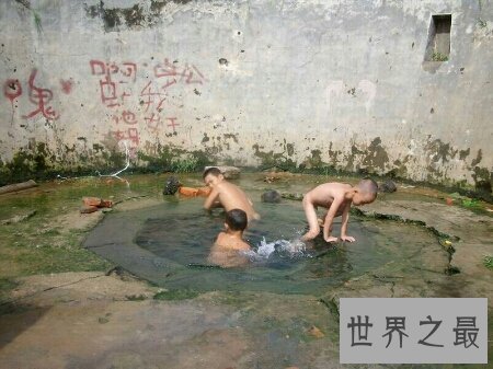 【图】天体营是德国的一个组织 很难以开口哦