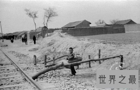 【图】河南大饥馑当时到底死了多少人 看起来真的很悲