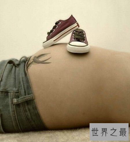 【图】生殖器图片在网上就可有搜到很多 供大家自创