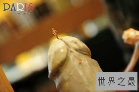 【图】生殖器图片在网上就可有搜到很多 供大家自创