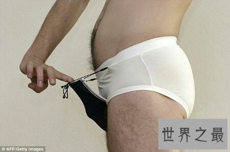 【图】生殖器图片在网上就可有搜到很多 供大家自创