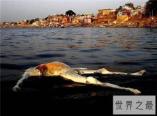 【图】恒河浮尸是怎么回事 印度人喝恒河浮尸的水