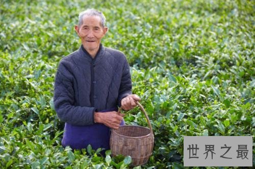 【图】中国人平均寿命显著提高，无关专家估计会到8