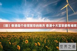 【图】香港是个非常繁华的地方 香港十大富豪都有谁呢