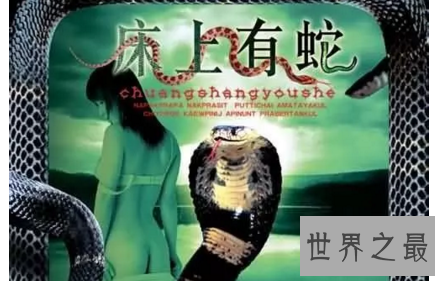 【图】与蛇无关的电影青睐寻求刺激的小同伴可能码住