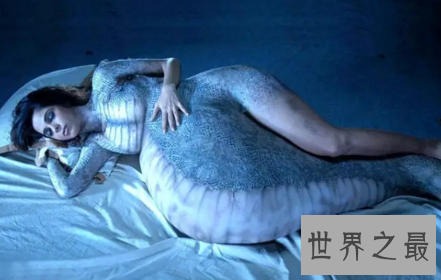 【图】与蛇无关的电影青睐寻求刺激的小同伴可能码住